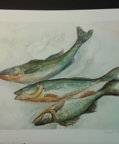 3 fiskar